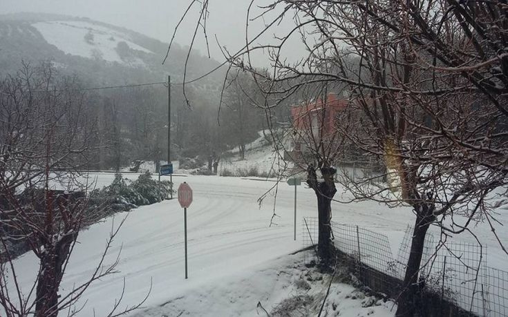 dromos-floria-xionia-2 dromos-floria-xionia-2