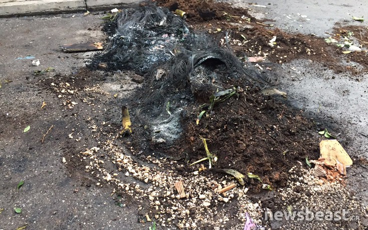 exrakdman6 exrakdman6