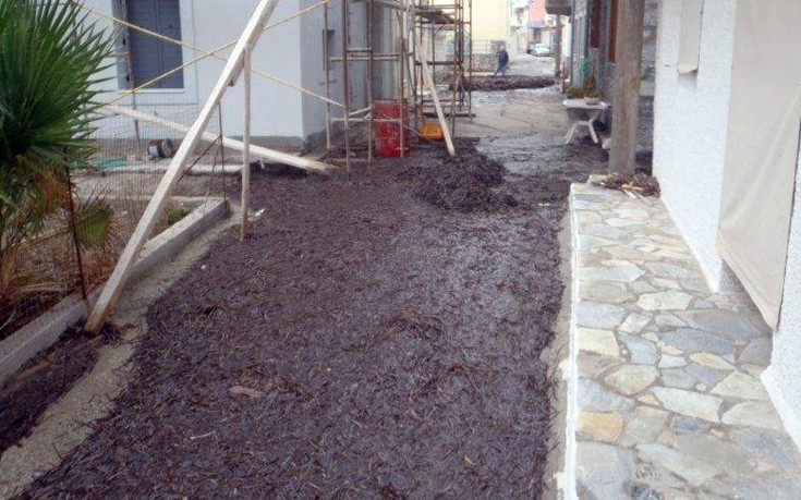 fikiaksdalfdl2 fikiaksdalfdl2