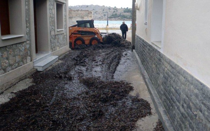 fikiaksdalfdl3 fikiaksdalfdl3