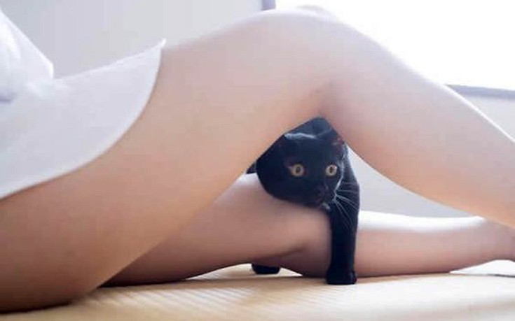 Γάτες βρίσκουν θέση ανάμεσα σε γυναικεία πόδια
