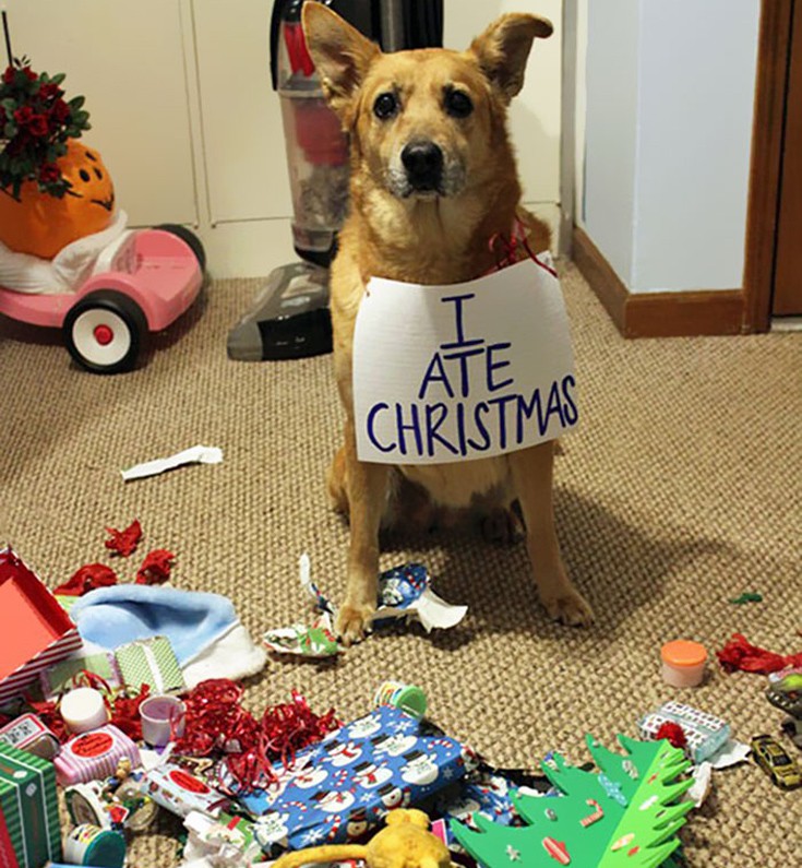 htcrsmss10 htcrsmss10