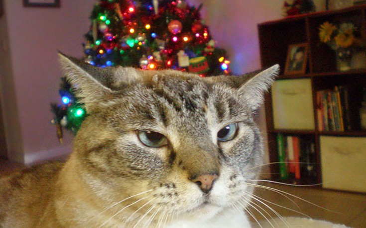 htcrsmss12 htcrsmss12