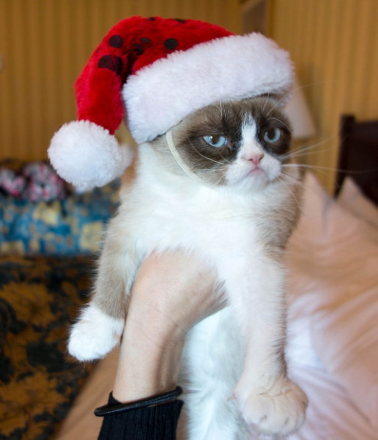 htcrsmss13 htcrsmss13