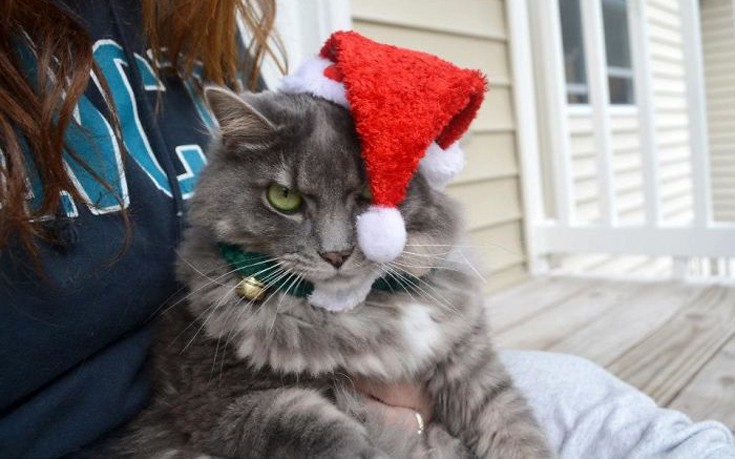 htcrsmss18 htcrsmss18