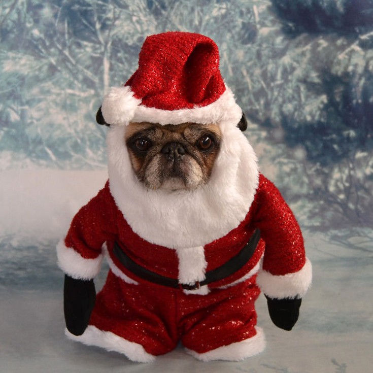 htcrsmss19 htcrsmss19