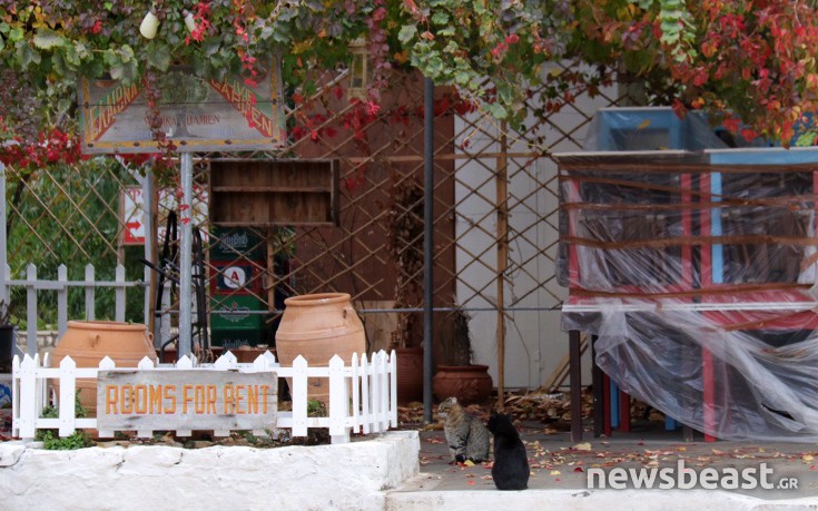 kastlrzo12 kastlrzo12