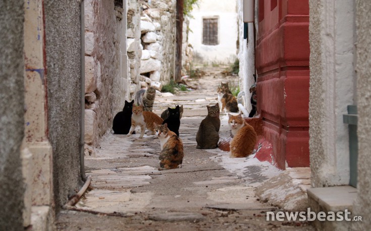 kastlrzo18 kastlrzo18