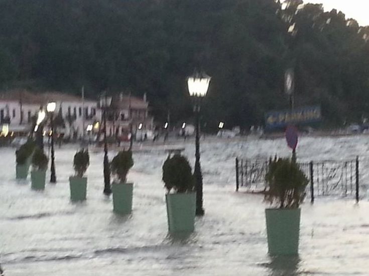 koi-bon-kymata1 koi-bon-kymata1