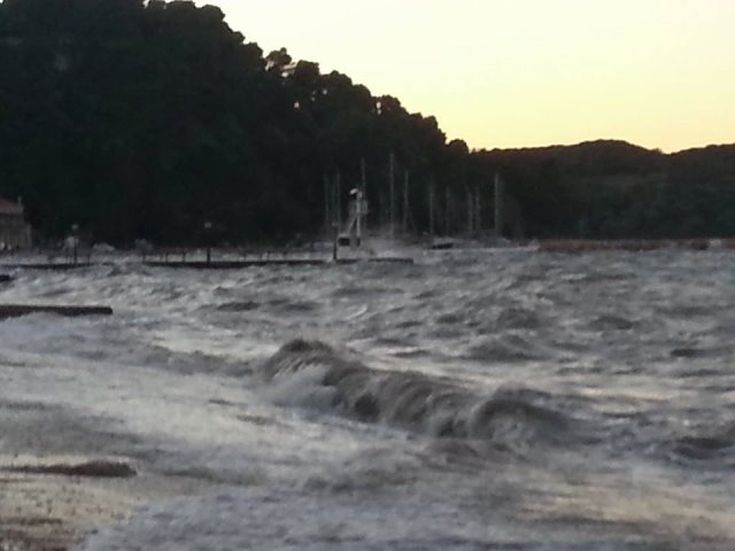 koi-bon-kymata4 koi-bon-kymata4