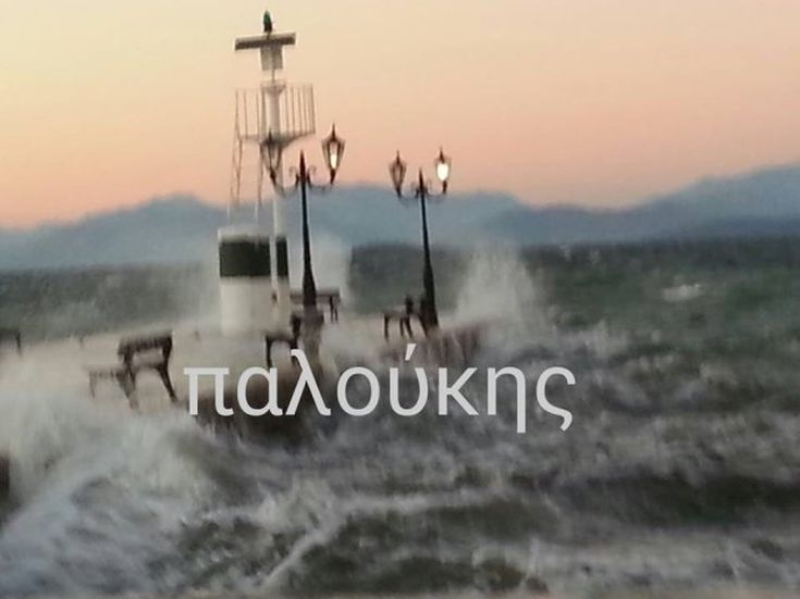 koi-bon-kymata5 koi-bon-kymata5