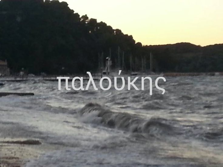 koi-bon-kymata6 koi-bon-kymata6