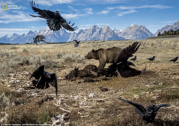 natoaiswdm10 natoaiswdm10