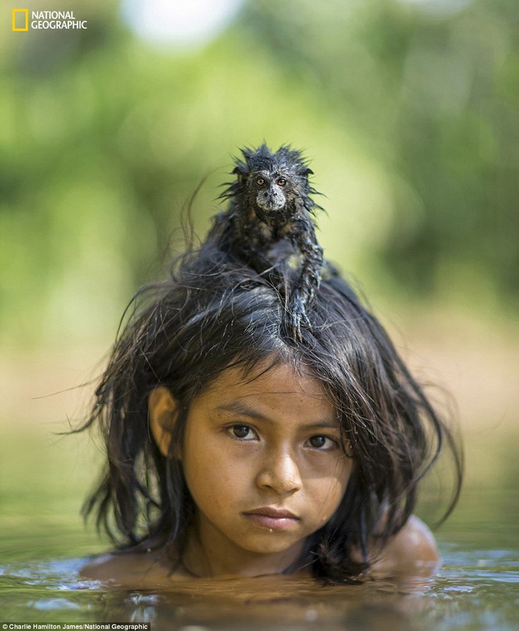 natoaiswdm6 natoaiswdm6