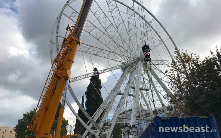 rodasydagma6 rodasydagma6