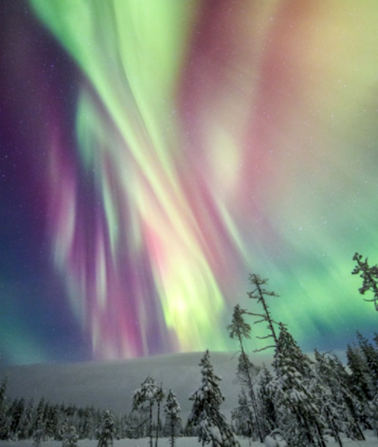 vrioselfn12 vrioselfn12