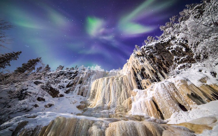 vrioselfn2 vrioselfn2