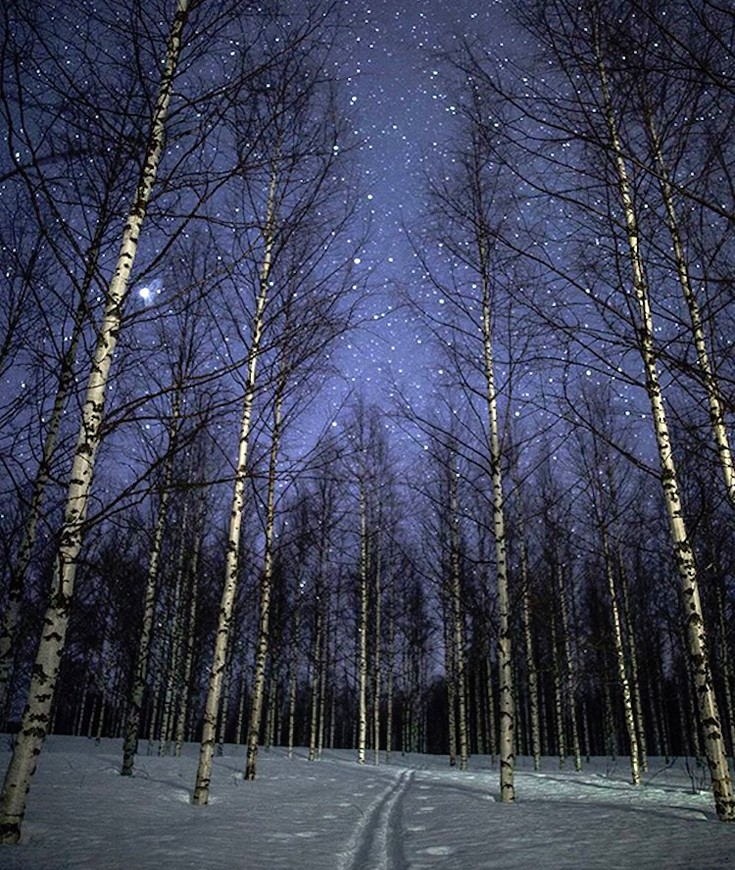 vrioselfn4 vrioselfn4