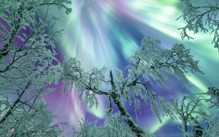 vrioselfn5 vrioselfn5