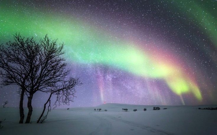 vrioselfn6 vrioselfn6