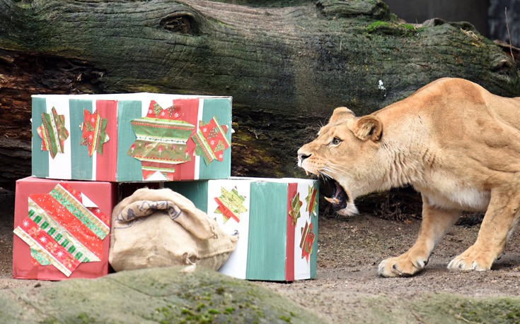 wkcrmclt11 wkcrmclt11