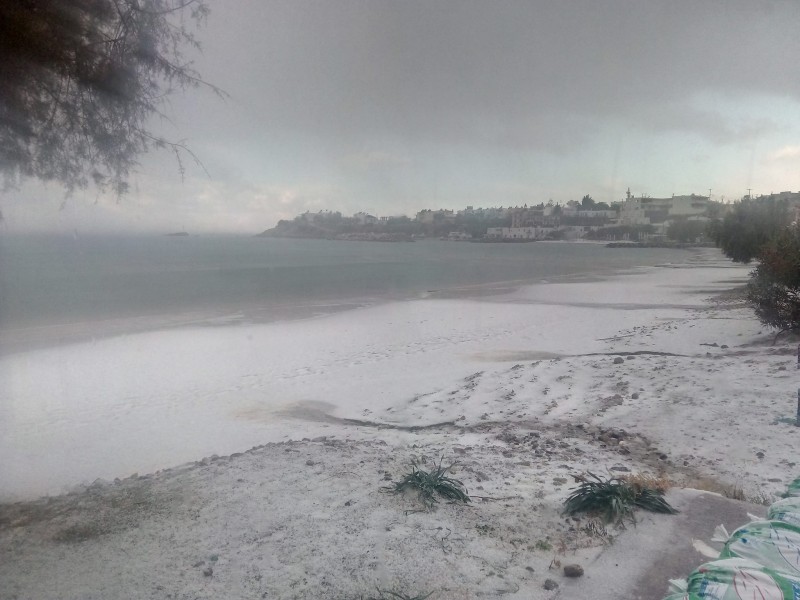 xioniaparalia xioniaparalia