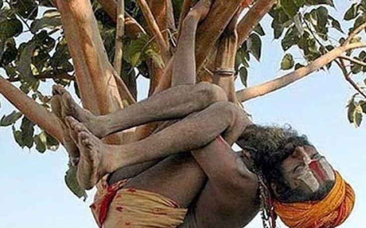 Ο ύπνος στο δέντρο έχει άλλη χάρη