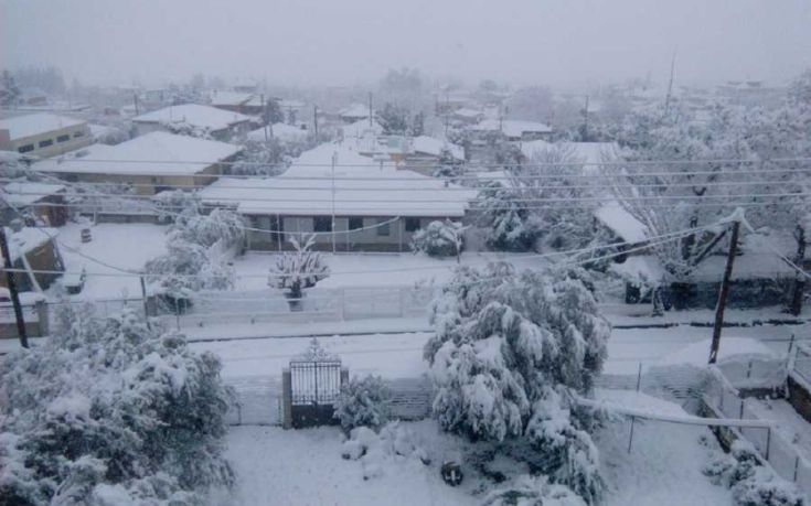 Απαγόρευση κυκλοφορίας των οχημάτων στο βόρειο τμήμα του Έβρου