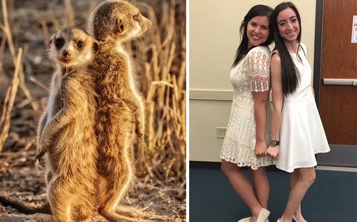 Πόζες που κάτι θυμίζουν