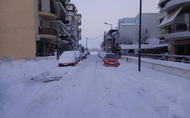 15991498_1208232129253480_545371402_o