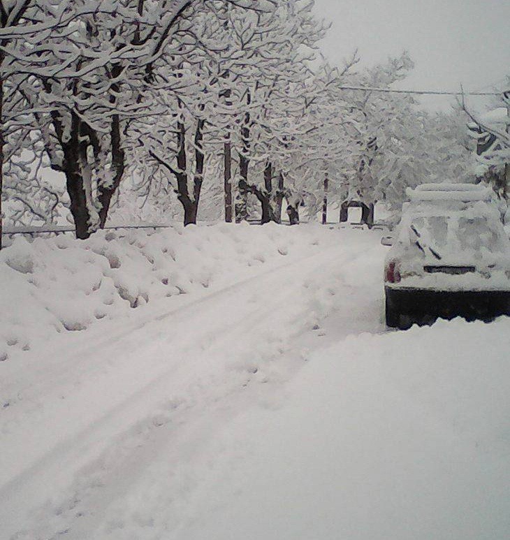 16229901_1721523261493190_618204711_o