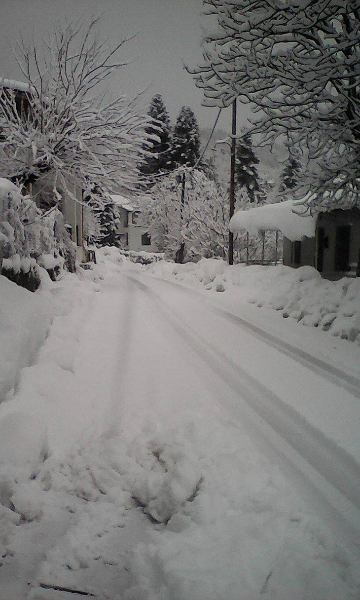 16231318_1721523228159860_526772086_o