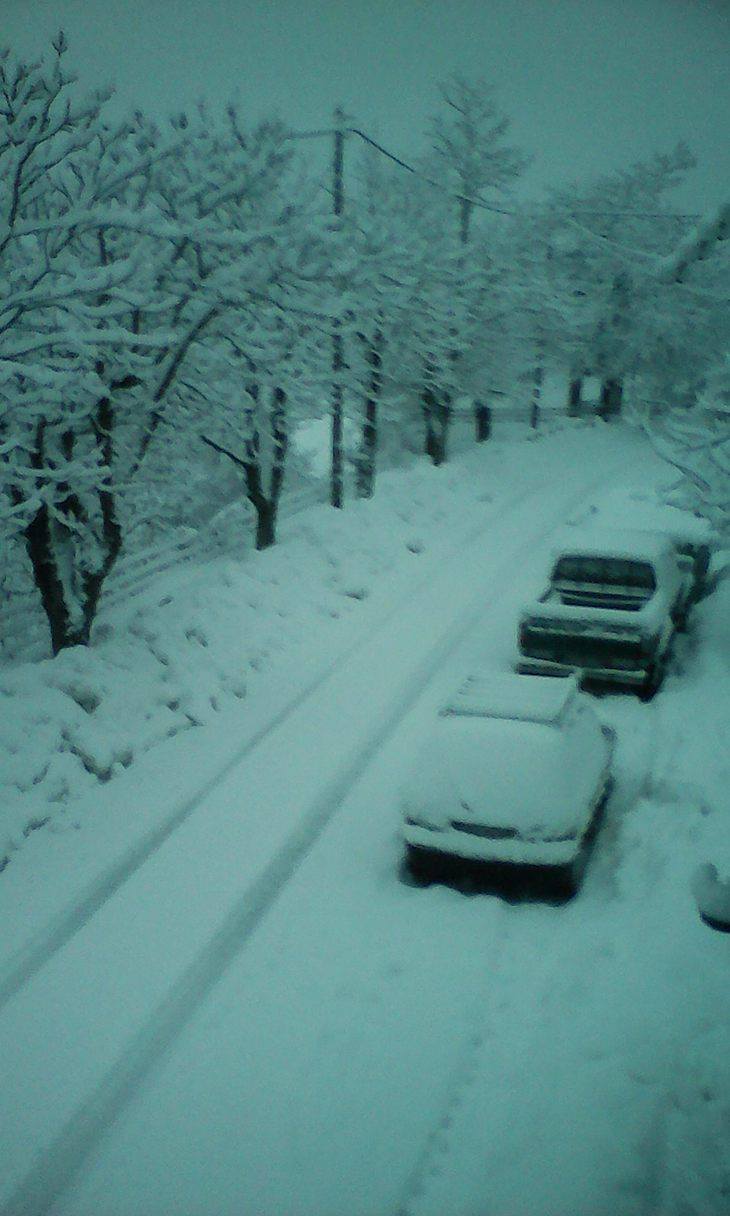 16251378_1721518934826956_374268705_o