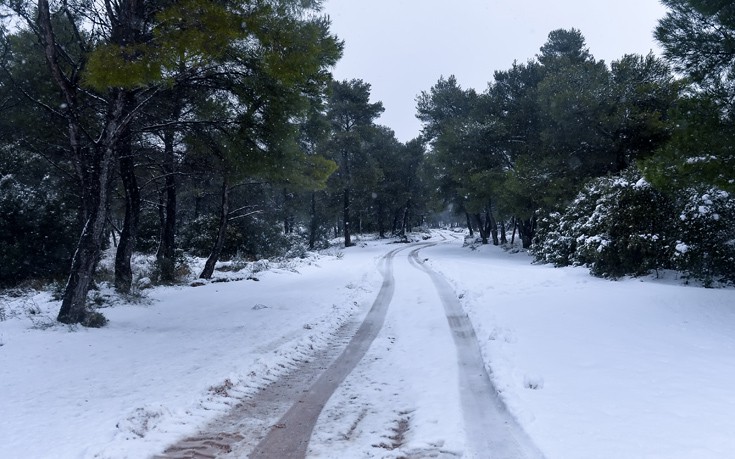 Πού υπάρχουν προβλήματα στην Αττική λόγω της χιονόπτωσης