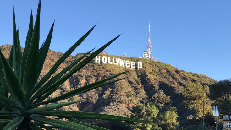 Η εμβληματική πινακίδα του «Hollywood» έγινε «Hollyweed» προς τιμήν της μαριχουάνας