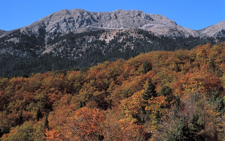 ΖΗΡΕΙΑ ΖΗΡΕΙΑ