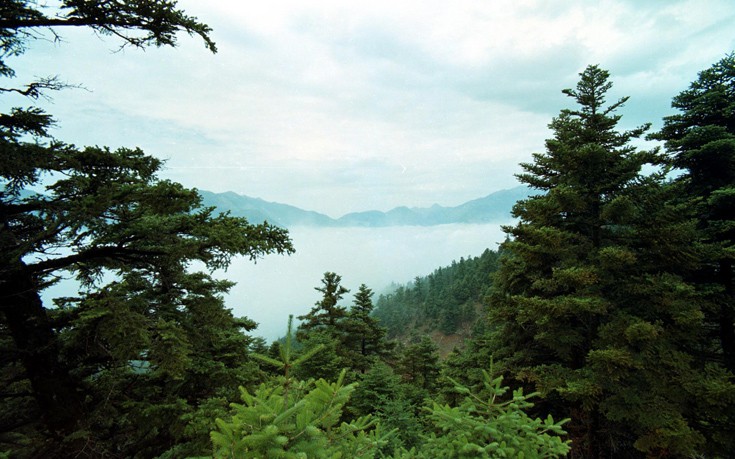 ΖΗΡΕΙΑ ΖΗΡΕΙΑ