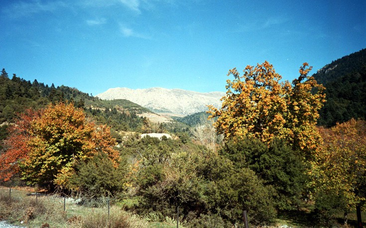 ΖΗΡΕΙΑ ΖΗΡΕΙΑ