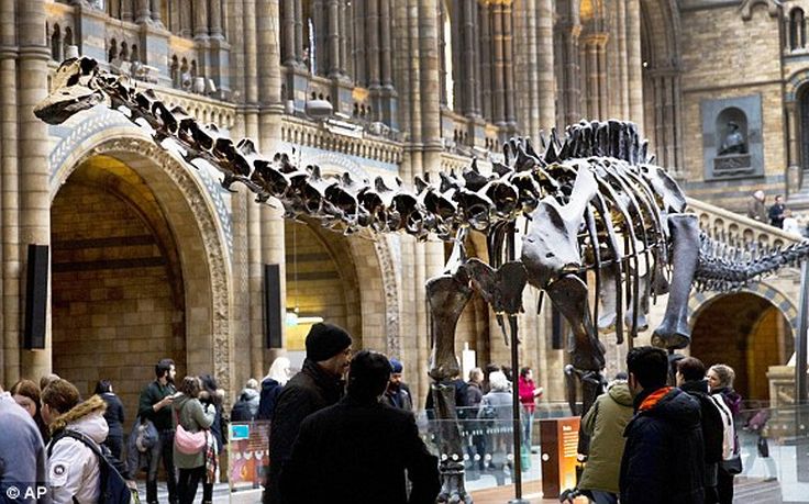 Εντυπωσιακός σκελετός δεινοσαύρου ξεκινά «περιοδεία» σε πόλεις της Βρετανίας
