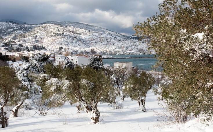 ΧΙΟΝΙΑ ΣΚΟΠΕΛΟΣ ΧΙΟΝΙΑ ΣΚΟΠΕΛΟΣ