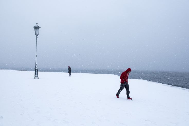 AP_17010541182787 AP_17010541182787