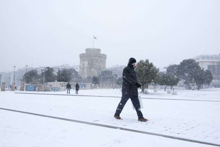 AP_17010543054503 AP_17010543054503