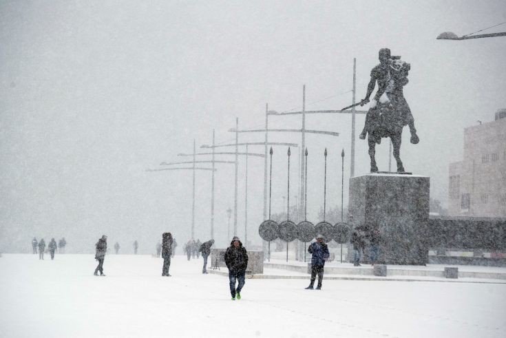 AP_17010543290799 AP_17010543290799