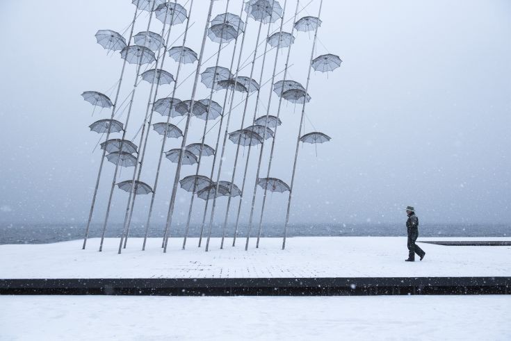 AP_17010585752914 AP_17010585752914