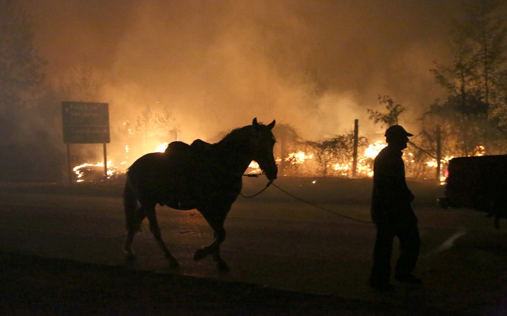 ΧΙΛΗ ΦΩΤΙΑ ΧΙΛΗ ΦΩΤΙΑ