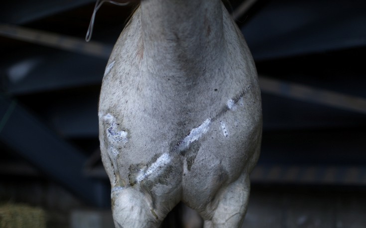 CHILE_WILDFIRE3 CHILE_WILDFIRE3