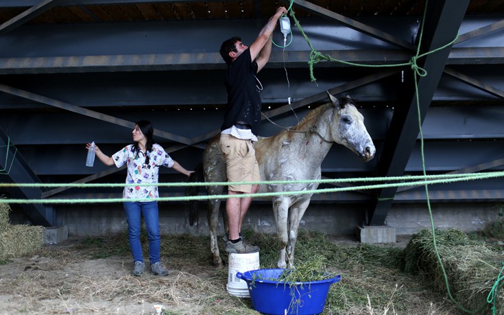 CHILE_WILDFIRE4 CHILE_WILDFIRE4