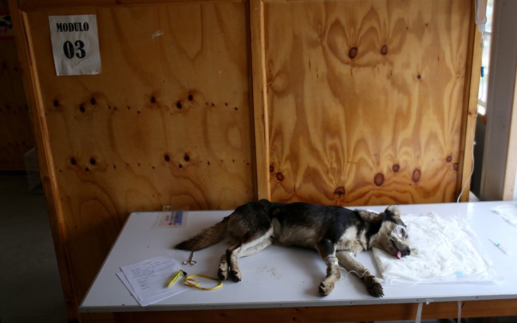 CHILE_WILDFIRE5 CHILE_WILDFIRE5