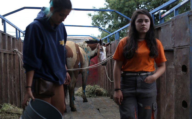 CHILE_WILDFIRE7 CHILE_WILDFIRE7