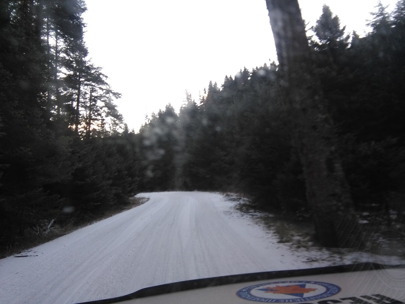 IMG_20170101_162433 IMG_20170101_162433